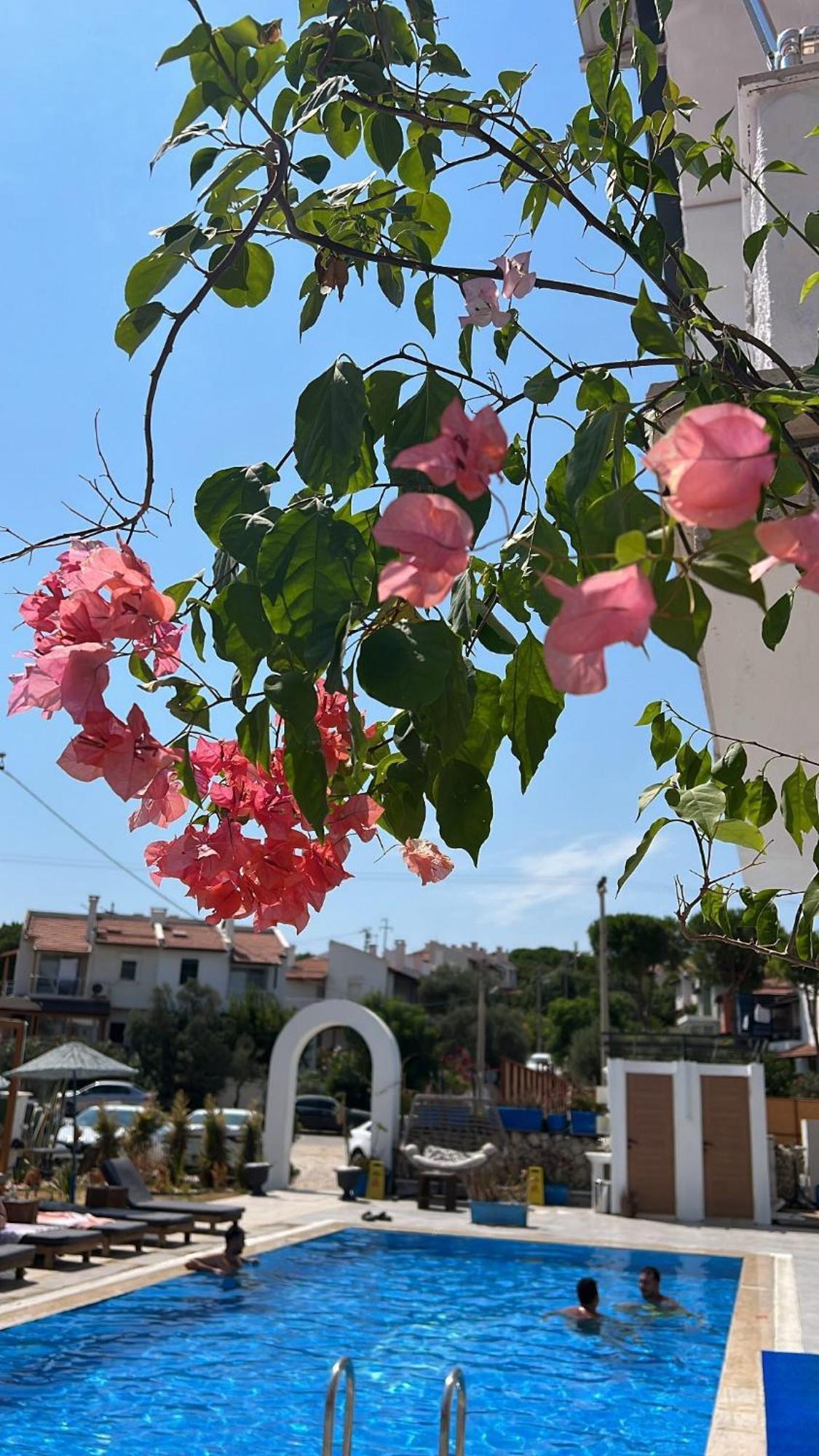 Belong Butik Otel Çeşme Dış mekan fotoğraf