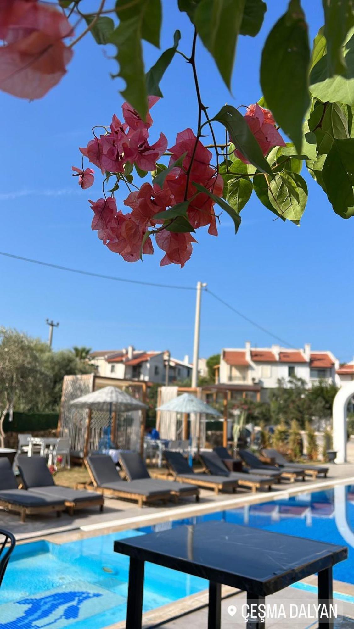 Belong Butik Otel Çeşme Dış mekan fotoğraf