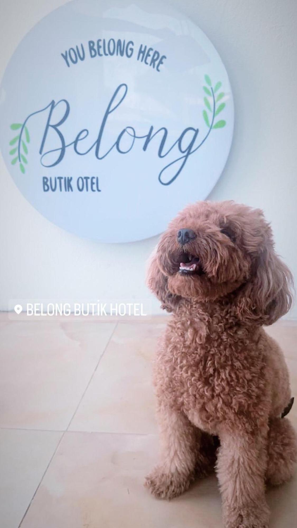 Belong Butik Otel Çeşme Dış mekan fotoğraf